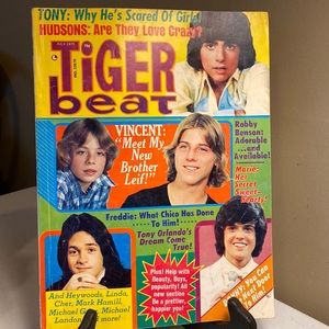 Vintage 1975 Tiger Beat Magazines